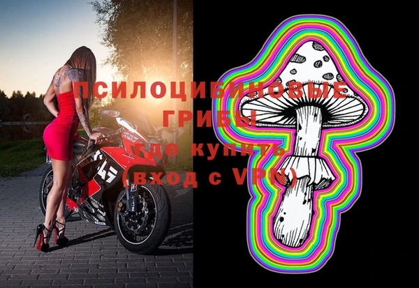 хмурый Заводоуковск